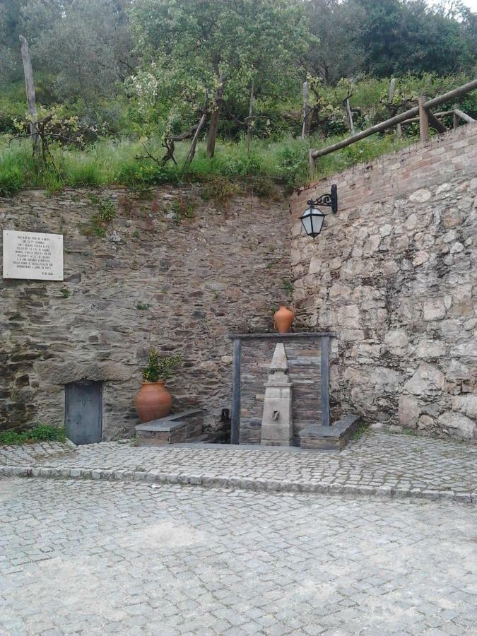 Bela Vista Alqueve - Traditional Stone House And Private Pool 阿加尼尔 外观 照片