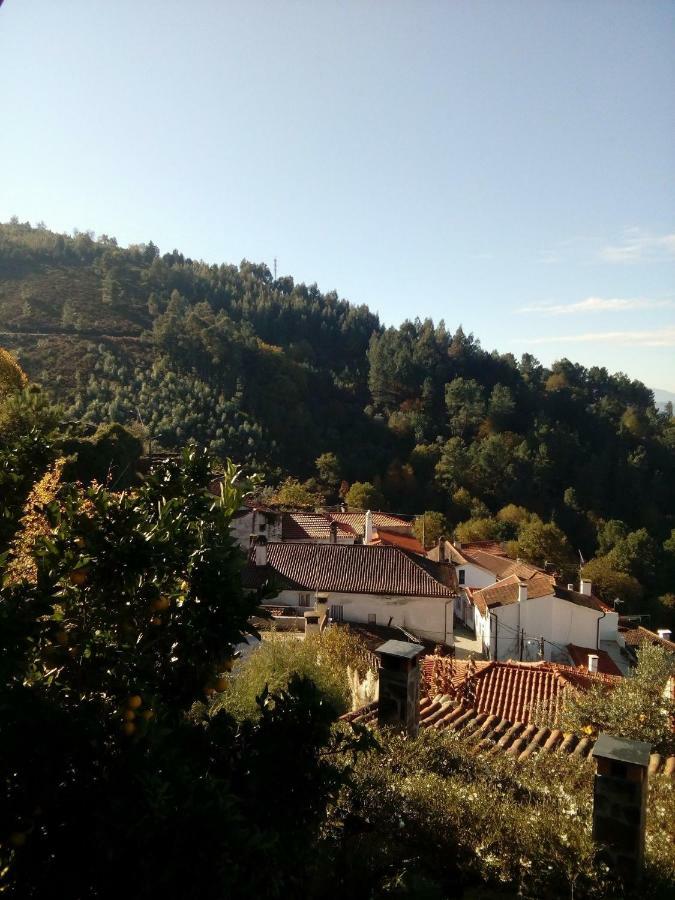 Bela Vista Alqueve - Traditional Stone House And Private Pool 阿加尼尔 外观 照片